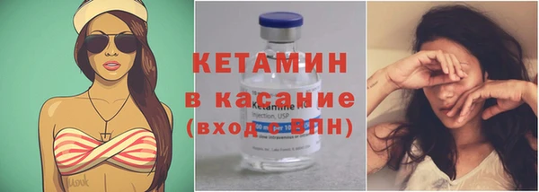 прущие грибы Болохово