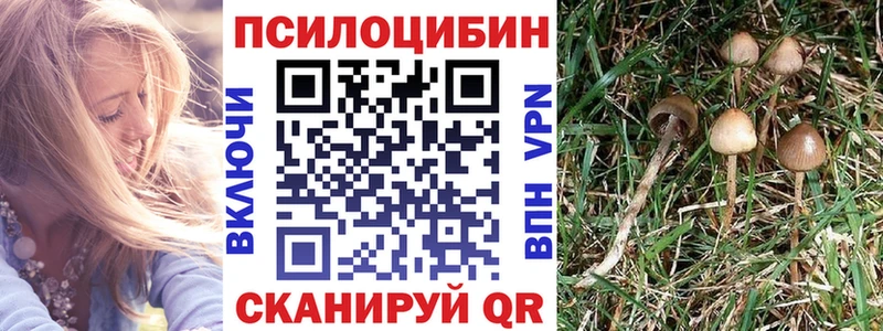 Галлюциногенные грибы ЛСД  kraken рабочий сайт  Новоалександровск  где купить наркотик 
