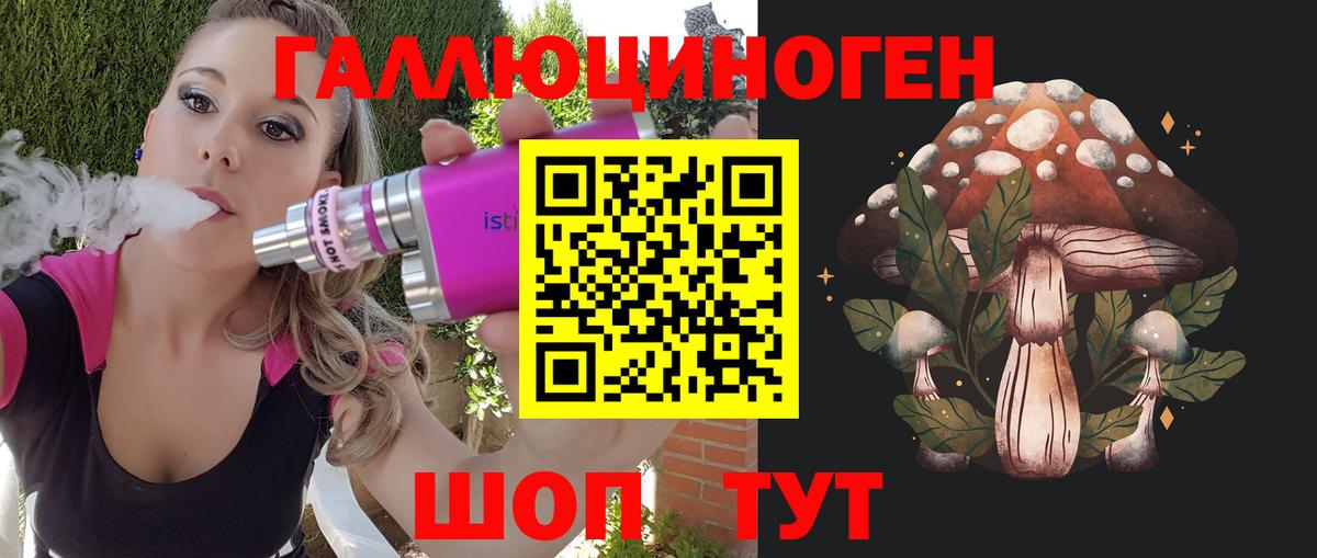 Псилоцибиновые грибы Psilocybe  Вход с VPN  Новоалександровск 