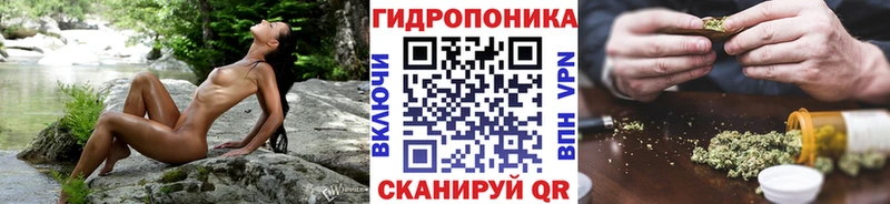 Бошки Шишки SATIVA & INDICA  что такое наркотик  Новоалександровск 